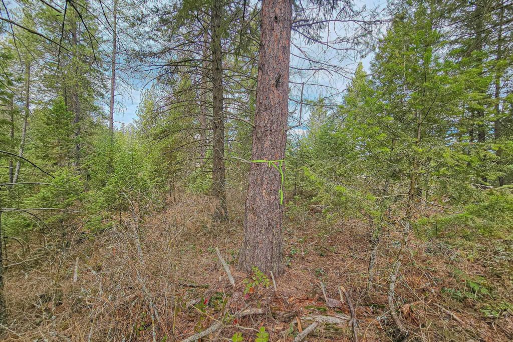 Nka E Deer Park Milan Rd, Chattaroy, WA 99003 photo 24