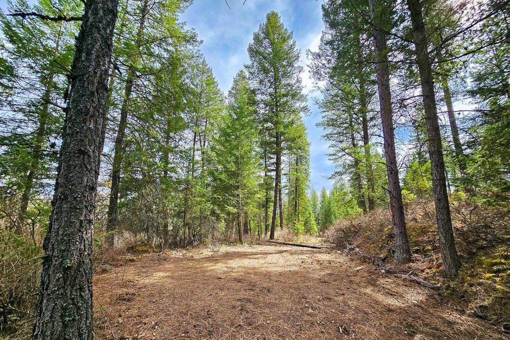 Nka E Deer Park Milan Rd, Chattaroy, WA 99003 photo 4
