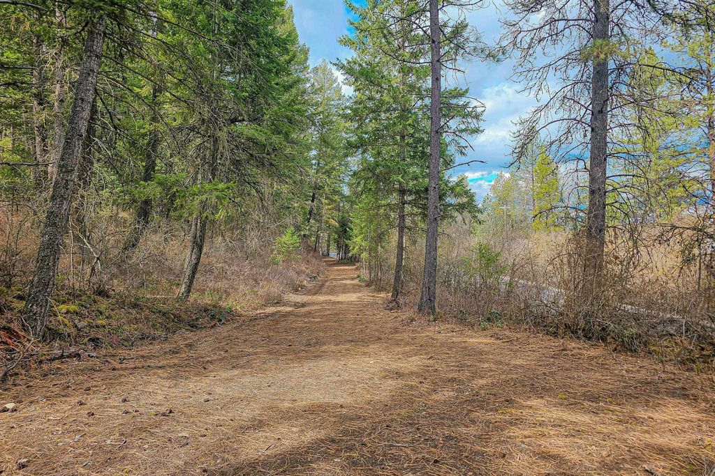 Nka E Deer Park Milan Rd, Chattaroy, WA 99003 photo 8