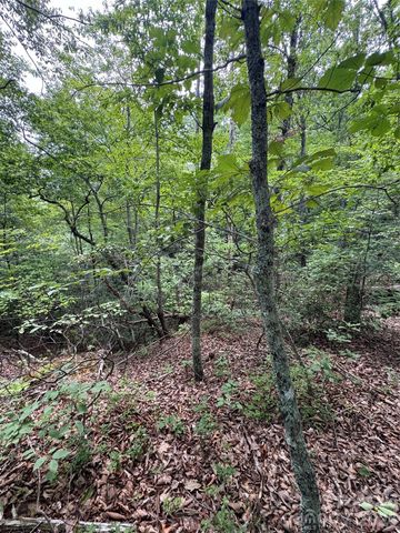 0 Raven Boulevard, Lake Lure, NC 28746