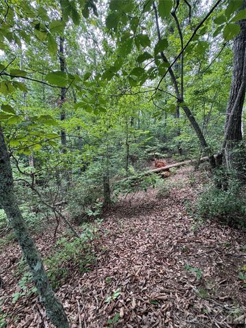 0 Raven Boulevard, Lake Lure, NC 28746