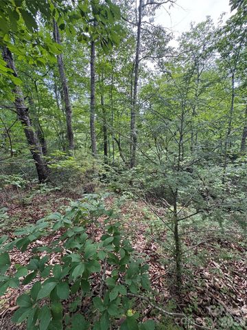0 Raven Boulevard, Lake Lure, NC 28746
