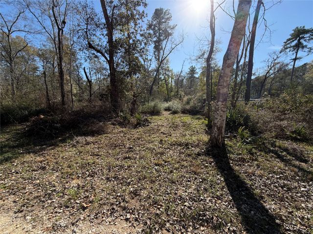 TBD Little Lane, Shepherd, TX 77371