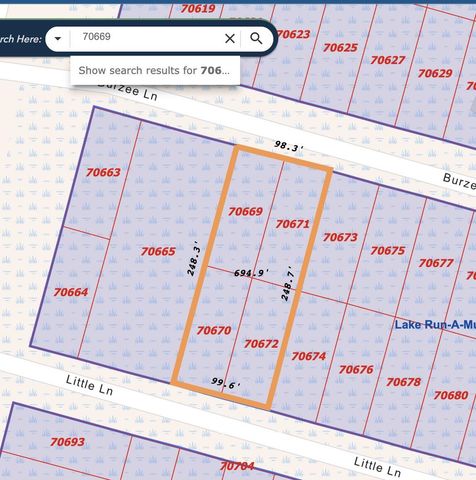 TBD Little Lane, Shepherd, TX 77371