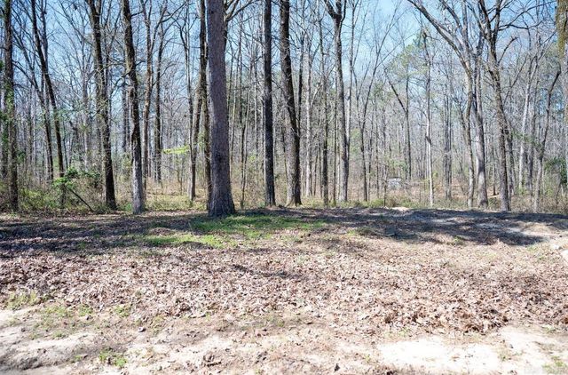 1004 S Evans Road, White Hall, AR 71602