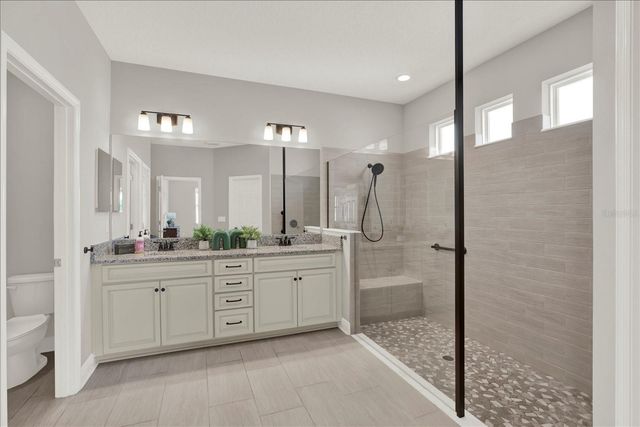 31601 HOLTON COURT, Wesley Chapel, FL 33545