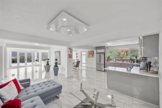 Bo. San Antonio Km 2.0 CARR. 739, Caguas, PR 00727