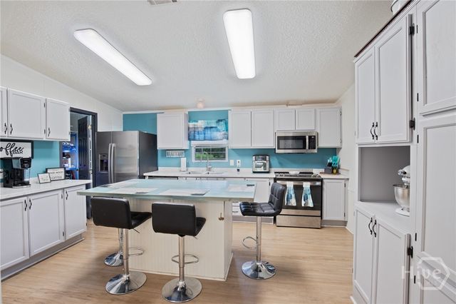 114 Eagle Drive Drive, Springfield, GA 31329