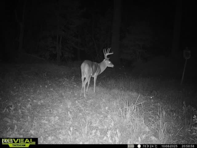 553 Ollie Road, Kenly, NC 27542