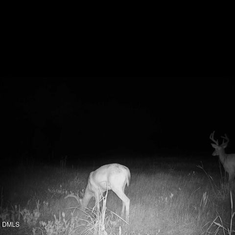 553 Ollie Road, Kenly, NC 27542