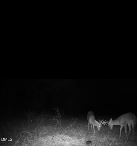 553 Ollie Road, Kenly, NC 27542