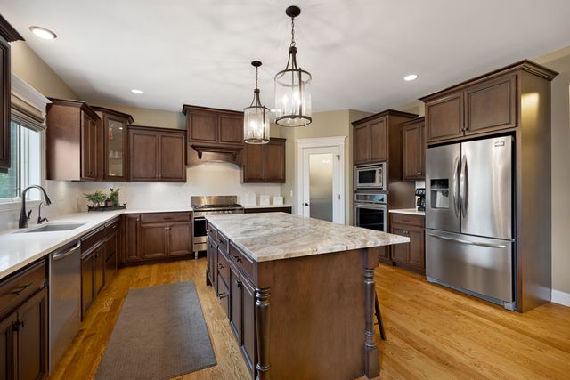 22232 Elise Boulevard, Frankfort, IL 60423