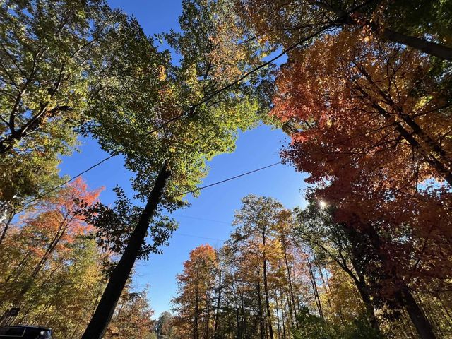 6240 Terry Drive, Six Lakes, MI 48886