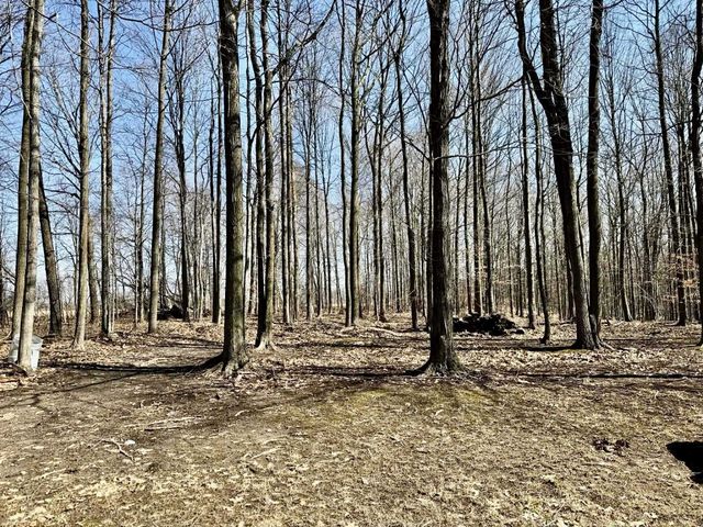 6240 Terry Drive, Six Lakes, MI 48886