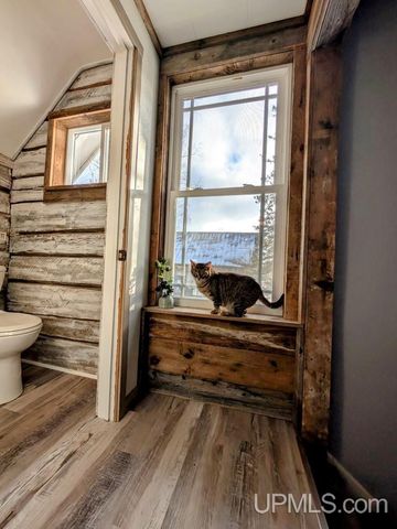 1237 Stromberg Road, Iron River, MI 49935