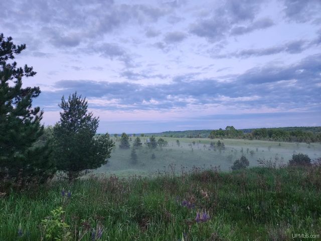 1237 Stromberg Road, Iron River, MI 49935