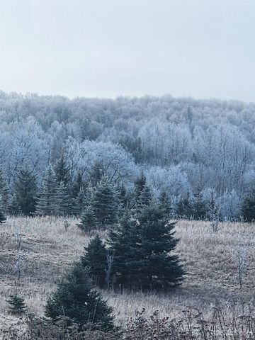 1237 Stromberg Road, Iron River, MI 49935