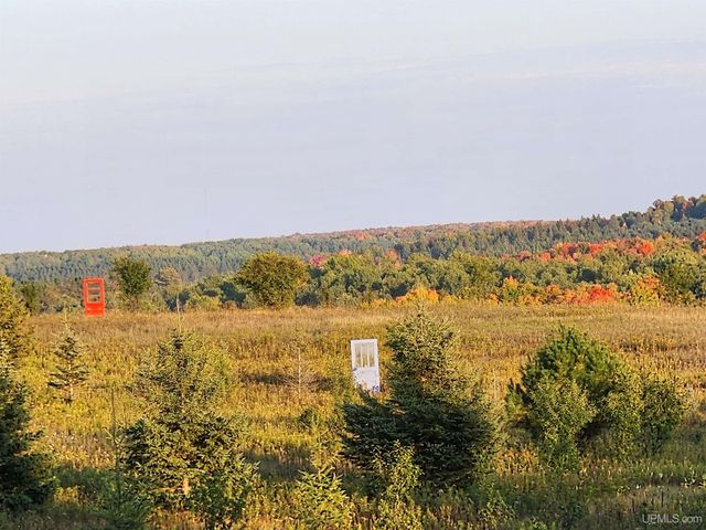 1237 Stromberg Road, Iron River, MI 49935