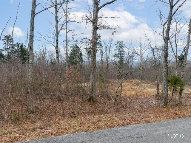 Lot 13 Knights Lane, Somerset, KY 42503