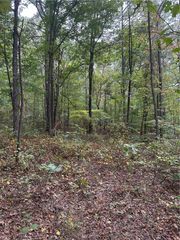 3834 Salacoa-Tract B, Waleska, GA 30183