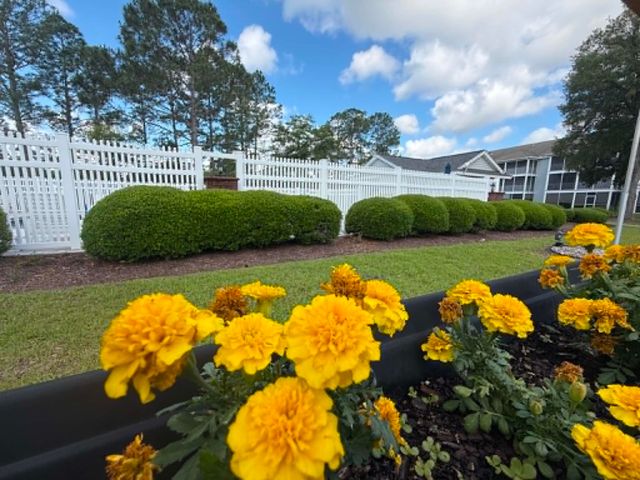 4814 Innisbrook Ct Apt 402, Myrtle Beach, SC 29579