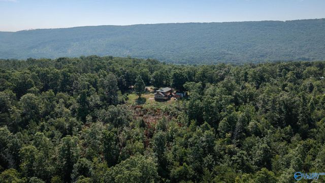 421 Dogwood Lane, Rising Fawn, GA 30738