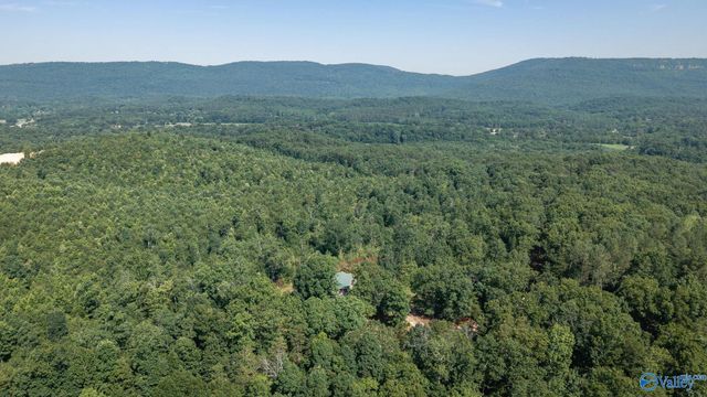421 Dogwood Lane, Rising Fawn, GA 30738