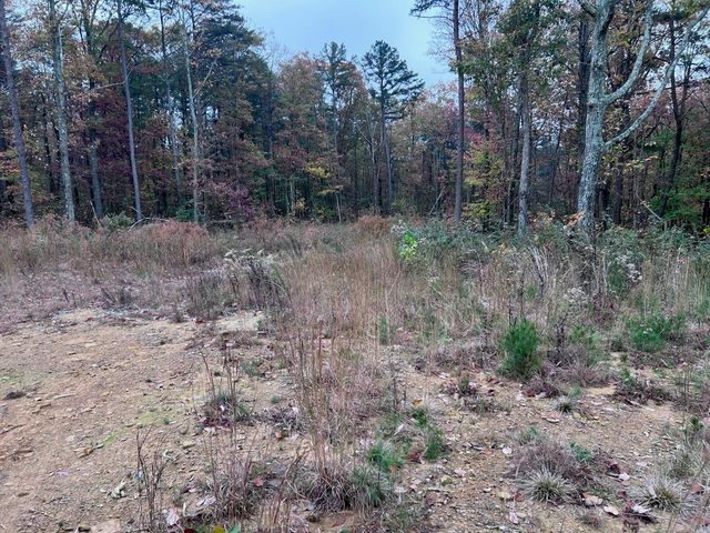 270 Burnett Road, Signal Mountain, TN 37377