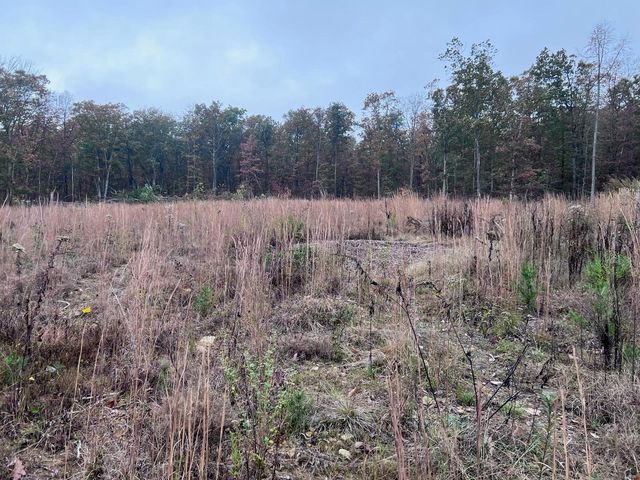 270 Burnett Road, Signal Mountain, TN 37377