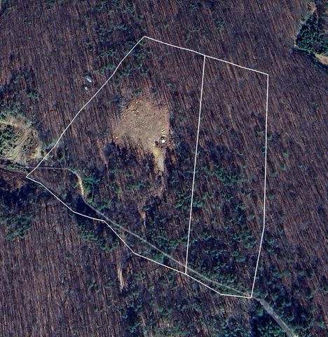 270 Burnett Road, Signal Mountain, TN 37377