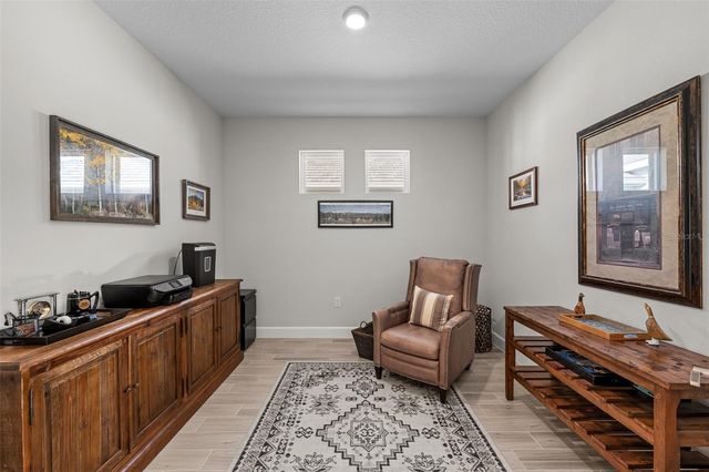 29563 VELLETRI LANE, Wesley Chapel, FL 33543