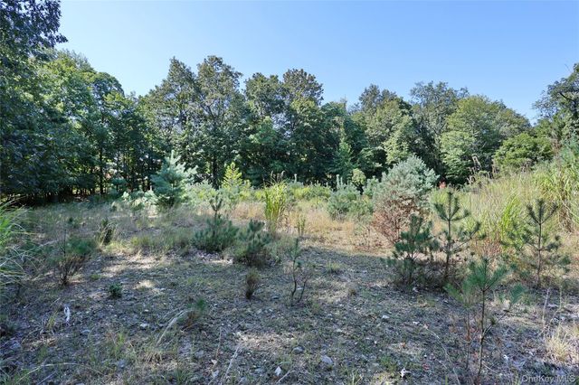 6 Bellows Lane, Chestnut Ridge, NY 10952