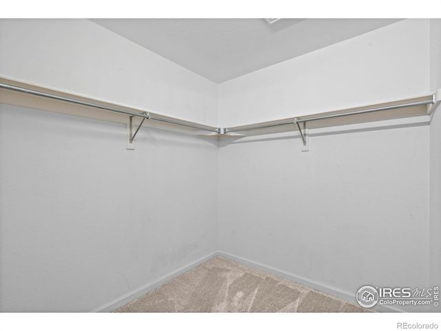 4605 Hahns Peak Drive 203, Loveland, CO 80538