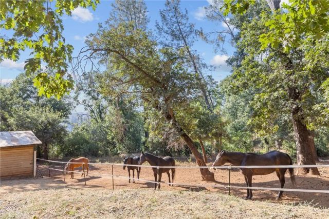 4592 Wendlis Road, Forest Ranch, CA 95942