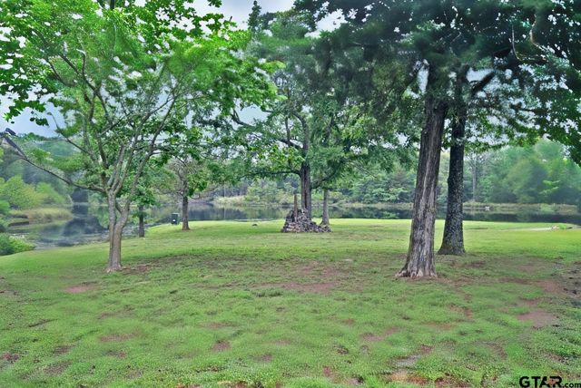 289 County Road 4192, Quitman, TX 75783