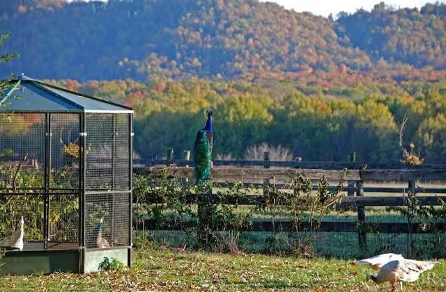 2416 Lowesville Road, Amherst, VA 24521