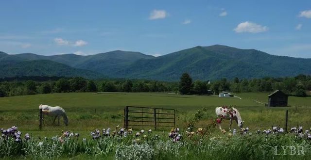 2416 Lowesville Road, Amherst, VA 24521