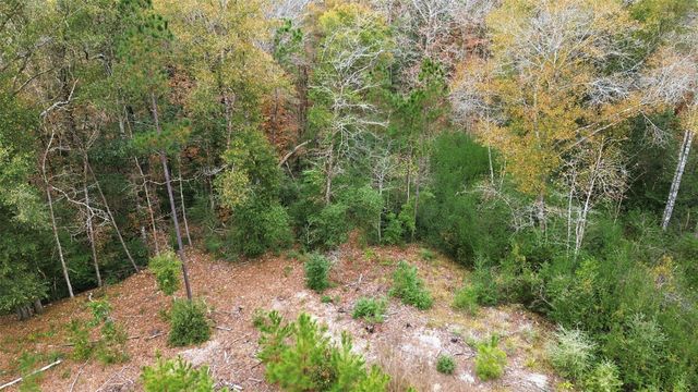 TBD Lady Luck Pid 246444 Lane, Livingston, TX 77351