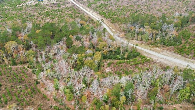 TBD Lady Luck Pid 246444 Lane, Livingston, TX 77351