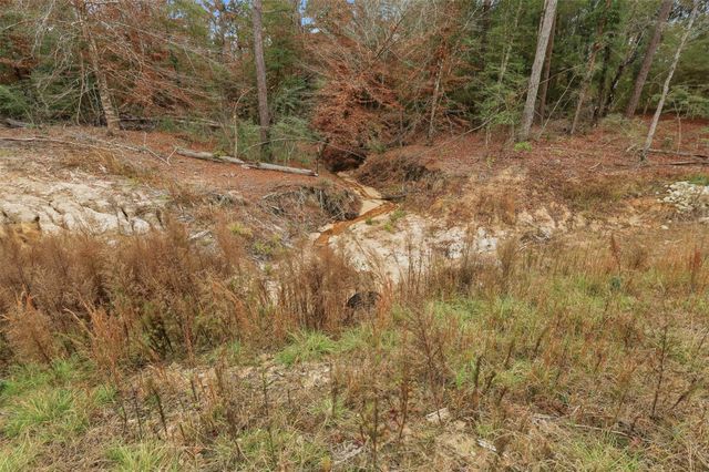 TBD Lady Luck Pid 246444 Lane, Livingston, TX 77351