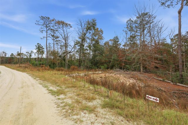 TBD Lady Luck Pid 246444 Lane, Livingston, TX 77351