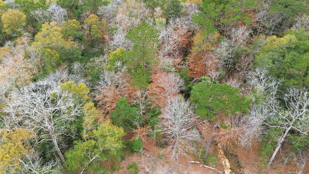 TBD Lady Luck Pid 246444 Lane, Livingston, TX 77351