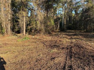 1881 HAZELNUT STREET, Bunnell, FL 32110