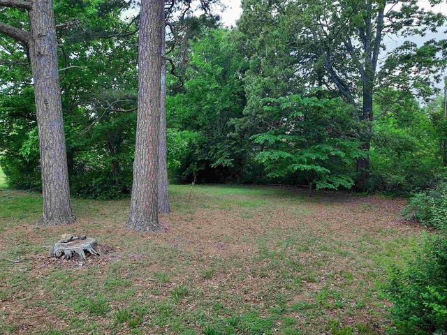 413 Redbud Avenue, Mountain View, AR 72560