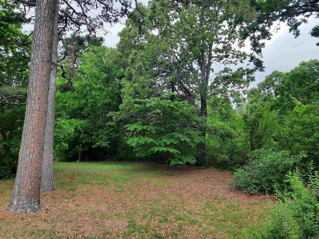 413 Redbud Avenue, Mountain View, AR 72560