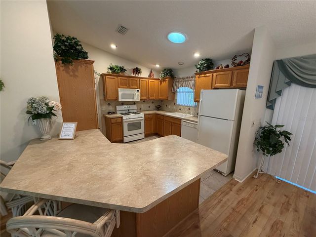 1071 BLYTHE WAY, The Villages, FL 32162