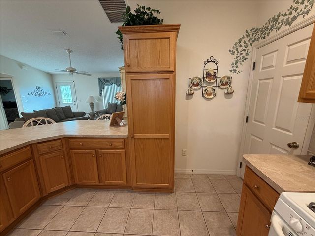 1071 BLYTHE WAY, The Villages, FL 32162