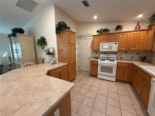 1071 BLYTHE WAY, The Villages, FL 32162