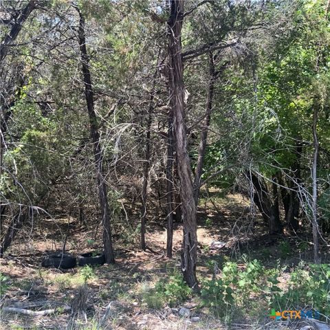 4105 Sherwood Drive, Belton, TX 76513