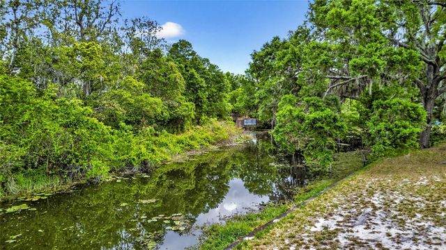 34618 S HAINES CREEK ROAD, Leesburg, FL 34788